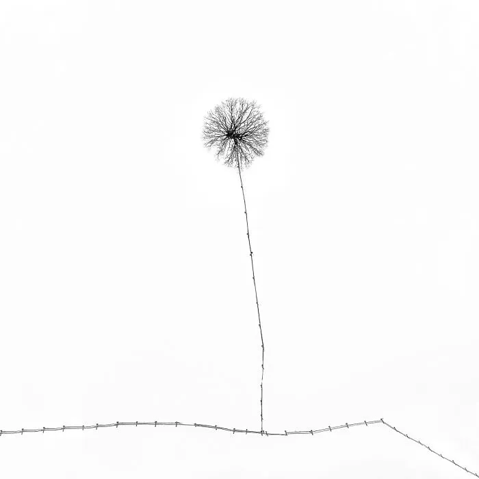 Winter Drawings