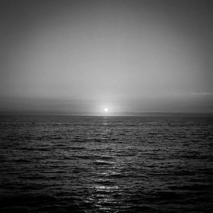 Shifting Landscapes