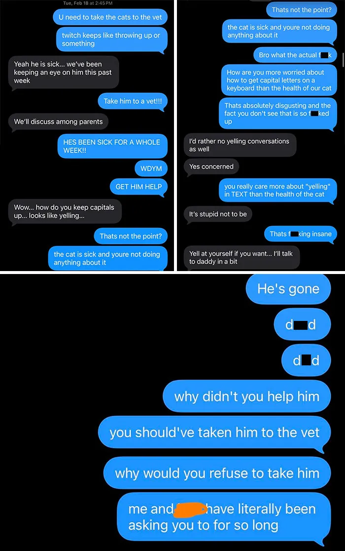 Mother Refuses To Take My Cat To The Vet