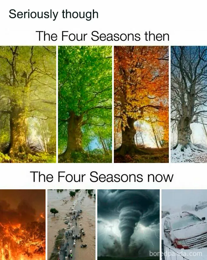 74 Absurdly Funny Memes That Will Have You Forgetting Your Problems For A Minute