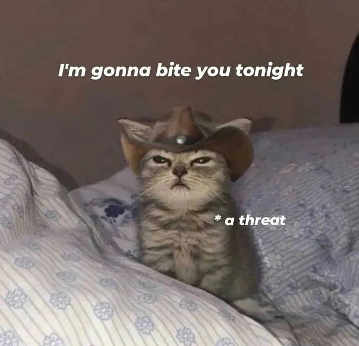 80 Tiny Doses Of Wholesomeness For When You Need Something Nice On Your Feed