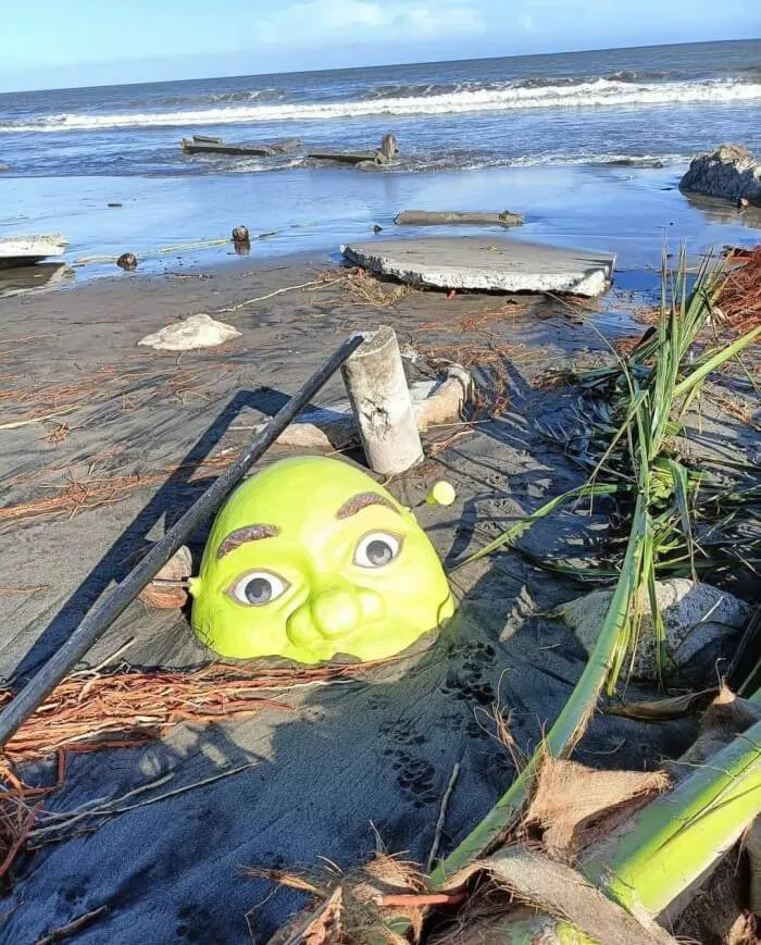 89 Pics That Might Make You Stop Scrolling Just To Figure Out What’s Going On