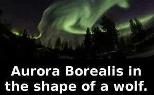 62 Photos That Show How Easily Our Brains Find Faces Everywhere, As Shared On This Page