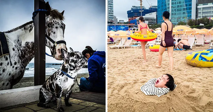 100 Street Photos That Caught Ordinary Moments At Just The Right Time