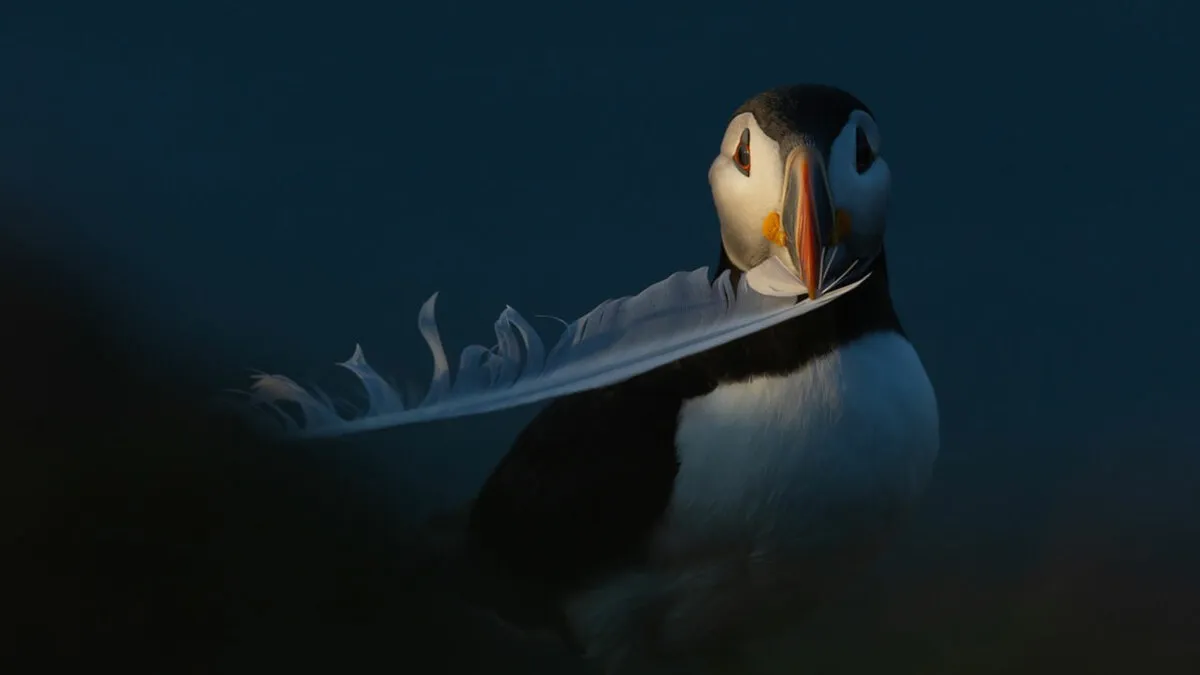 22 Winning Wildlife Photos From The Canadian Wildlife Photography Of The Year Competition