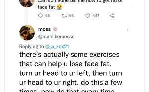 48 “Gems Of Replies” Spotted Around The Internet That Might Make You Laugh More Than You Should (New Posts)
