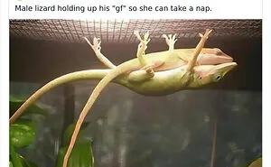 60 Memes For Anyone Who's Ever Sighed Audibly At Absolutely Nothing
