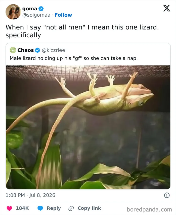 Funny-Relatable-Memes-Northwitch69