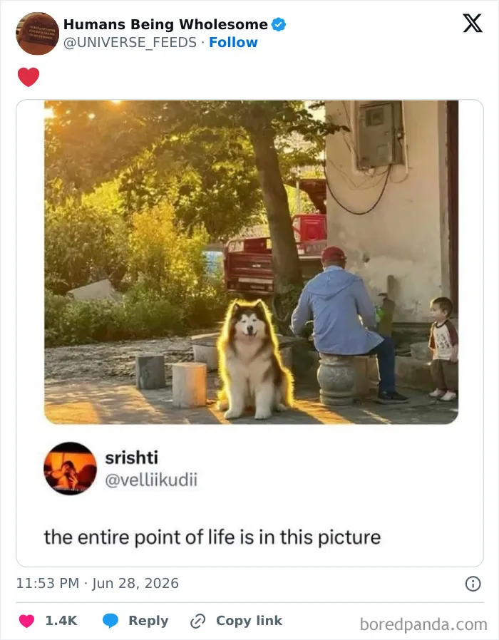 Wholesome moment of a dog, man, and child sitting outdoors in warm sunlight
