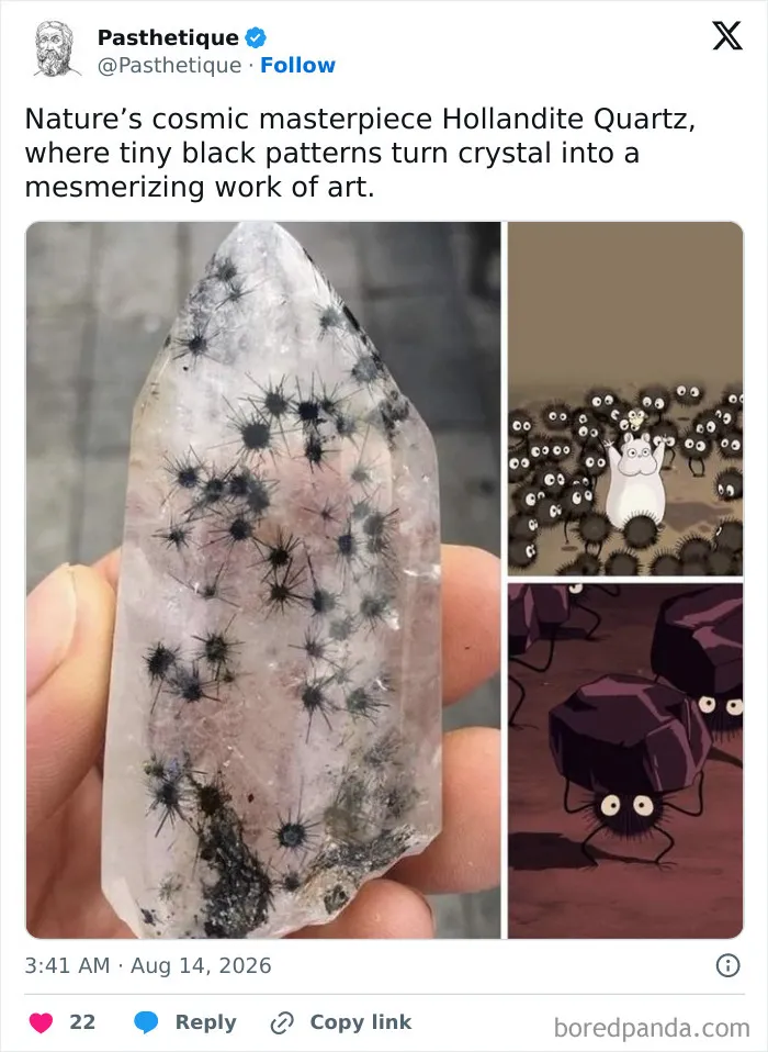 Hollandite Quartz crystal showing natural black starburst patterns resembling aesthetic art
