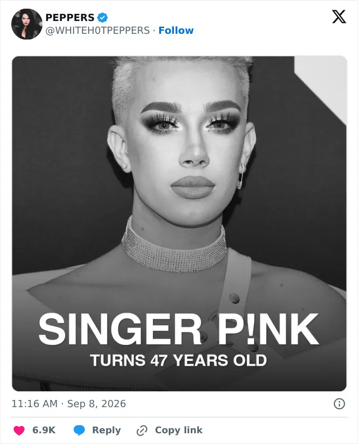 Pink Becomes Internet's Latest Target After Series Of Controversial Posts Made Her Lose Fan Support