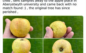 72 Tweets That Made The Internet A Little Funnier, One Strange Thought At A Time (September Edition)
