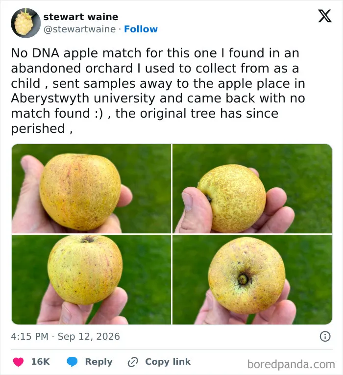 Funniest-Tweets-September