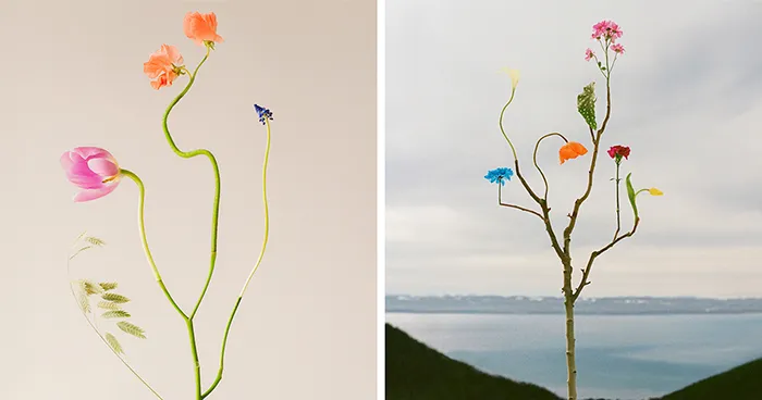 This Canadian Artist Found A Mindful Practice In Preparing & Photographing Flower Compositions (26 Pics)