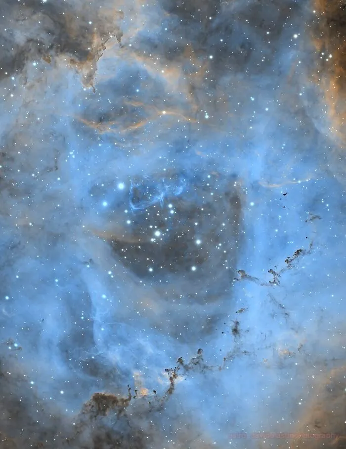 Caldwell 49 - The Rosette Nebula