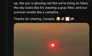 81 Dumb Americans That Are Both Hilarious And Infuriating But Most Of All Perplexing