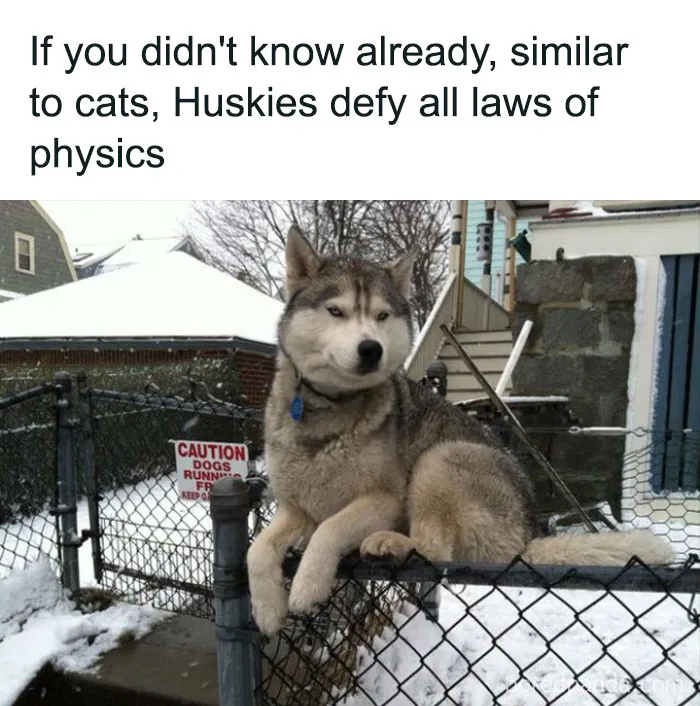 We're On The Fence On This One