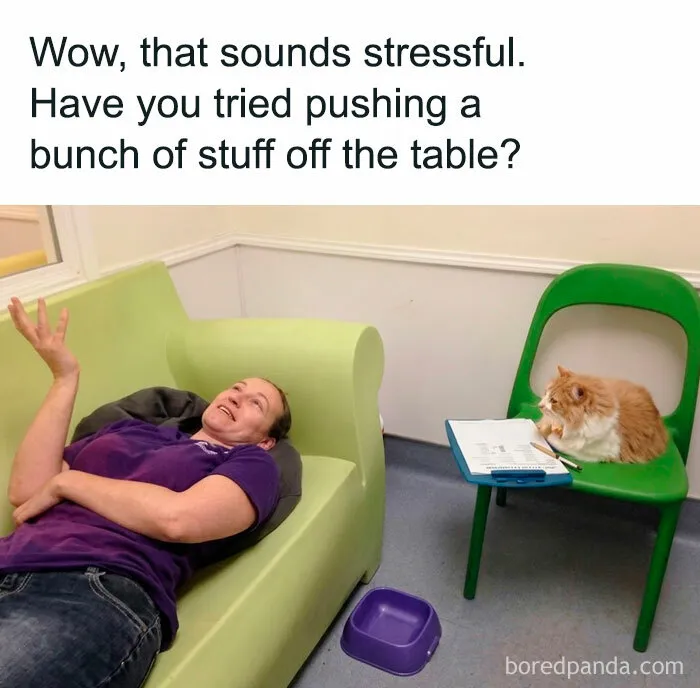 78 Funny Animal Memes That Might Just Improve Your Mood