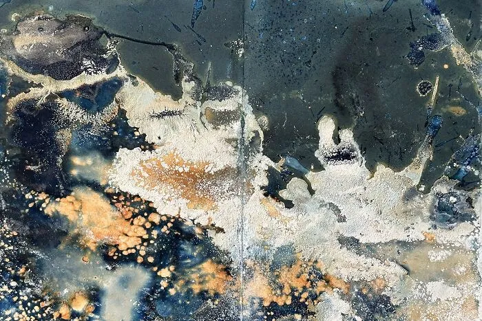 Abstract texture with mold and chemical stains from analog film photography awards