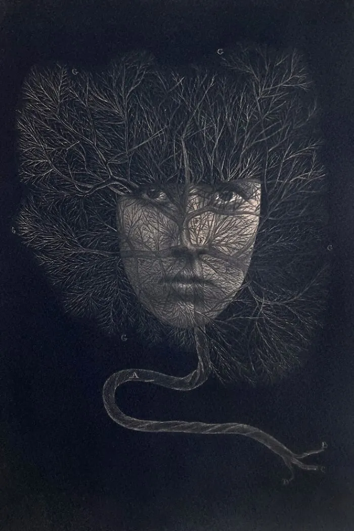 Surreal analog film art blending a tree with a human face in dark tones