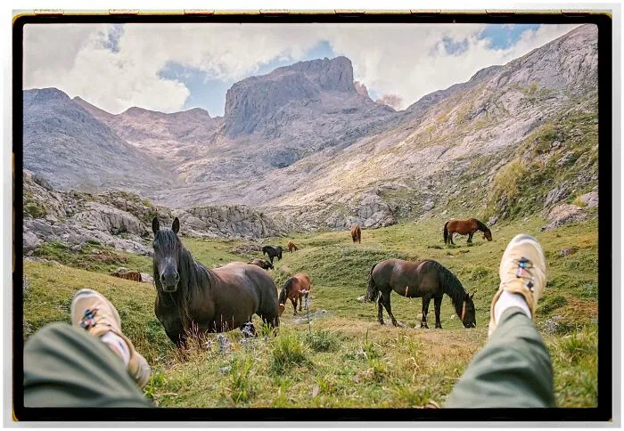 Color analog film image of a person lying down among grazing horses in mountainous landscape