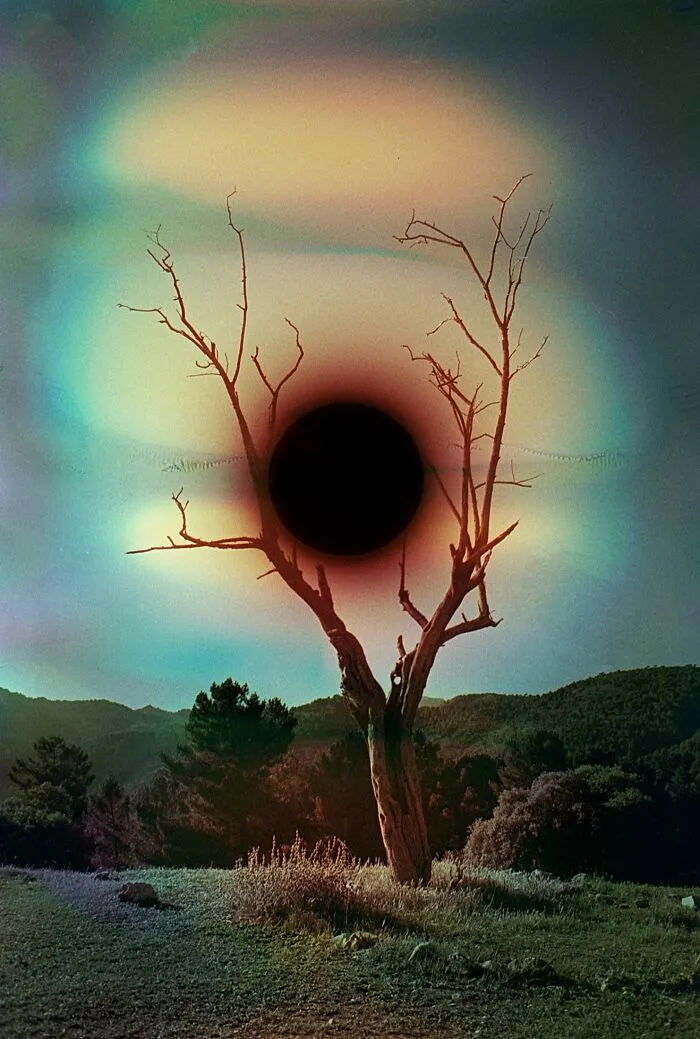 Colorful surreal analog film photo of tree with solar eclipse background