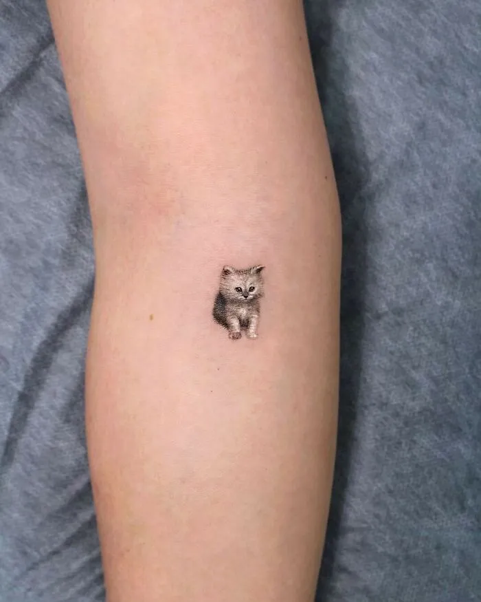 ‘Tattoodo’: 60 Touching Pet Tattoos For Anyone Who Loves Cats And Dogs