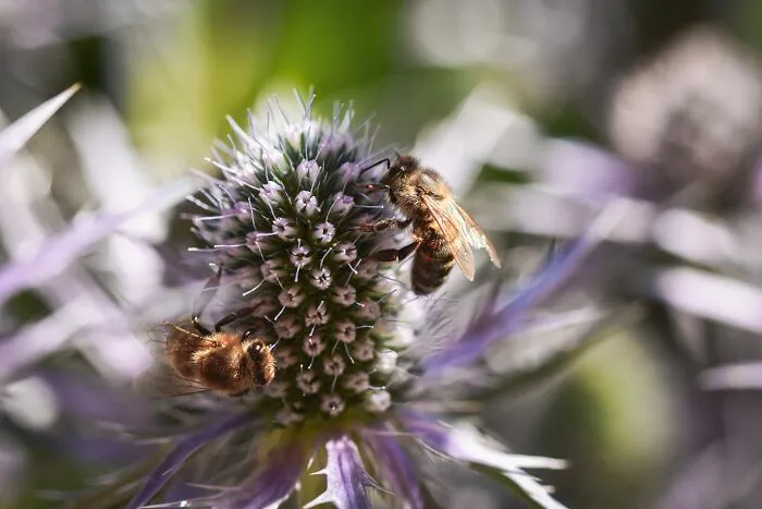 53 Things That Are On Life Support In 2026, And Most People Haven’t Noticed