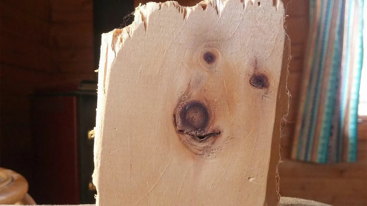62 Photos That Show How Easily Our Brains Find Faces Everywhere, As Shared On This Page