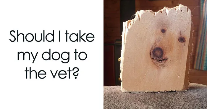 62 Photos That Show How Easily Our Brains Find Faces Everywhere, As Shared On This Page