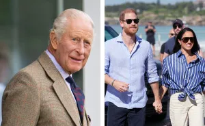 The Explosive Reason King Charles Branded Harry And Meghan "Private Citizens" Comes To Light