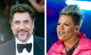 After Pink Lost Fan Support Over Scandalous Posts, Javier Bardem Makes Bold Public Move Against Her