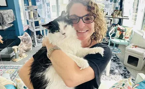 Nonprofit Under Fire After Refusing To Let Specific Group Of People Adopt Kittens: "How Did They Know?"