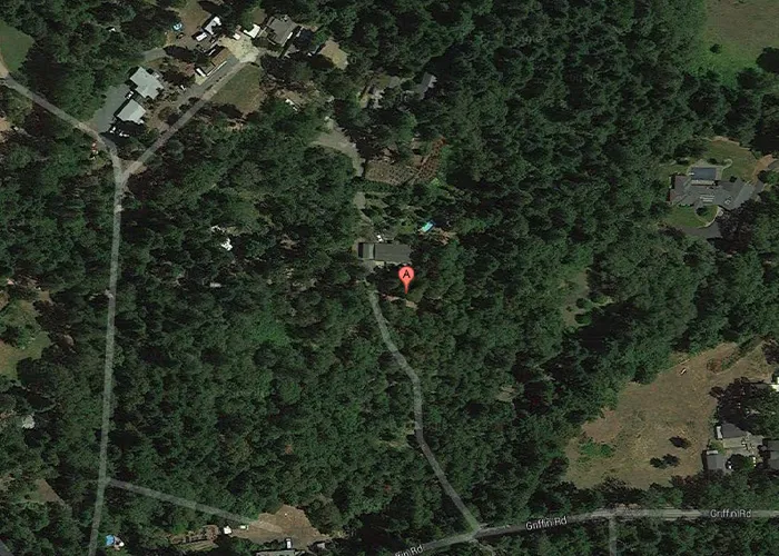 Police Used Google Earth To Spot A Cannabis Farm Hiding In Plain Sight 