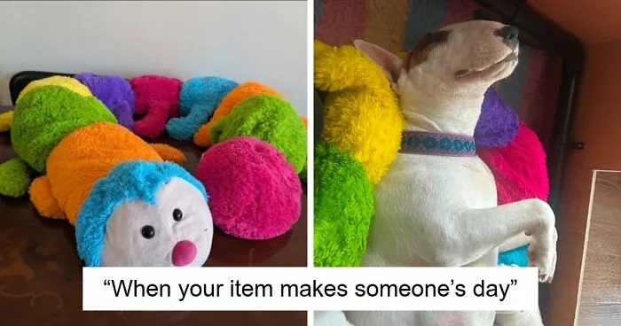 “Am I The Vinted Idiot?”: 72 Unhinged Vinted Posts That Had People Doing A Second And Third Take (New Pics)