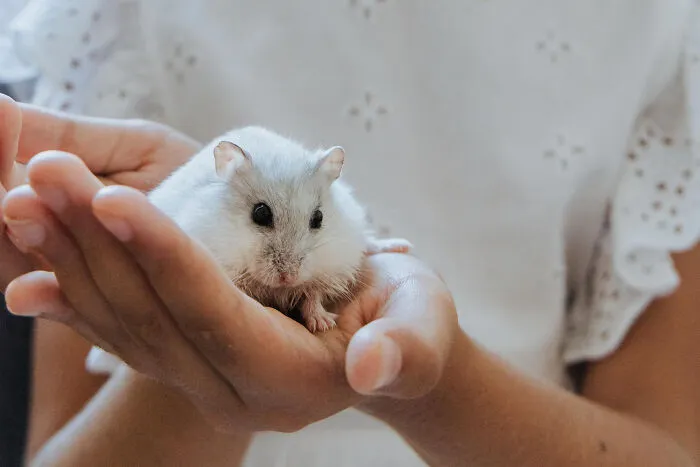 67 Awesome Animal Facts That Could Come In Handy, Even If You Never Expect To Play Any Trivia Quiz