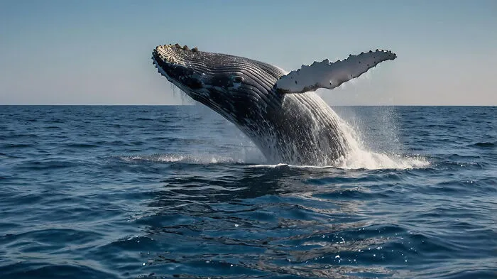 67 Awesome Animal Facts That Could Come In Handy, Even If You Never Expect To Play Any Trivia Quiz