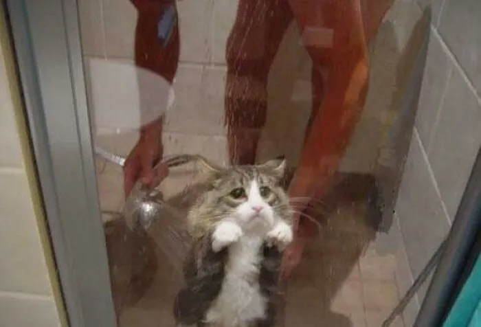 118 Pics That Make You Wonder What Happened Five Seconds Before The Photo Was Taken
