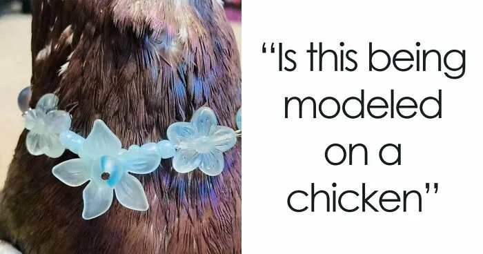 82 Unhinged Depop Sellers And Buyers Who Made Shopping Secondhand An Unexpected Adventure