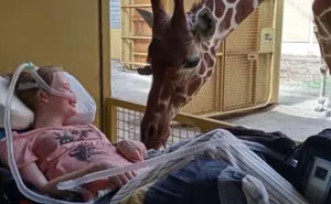 102 Wholesome Moments That Might Restore A Little Faith In Humanity