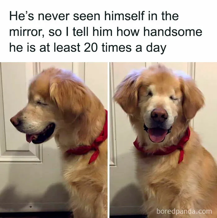 Accepting Flaws And Sending More Love To This Handsome Fur Baby 