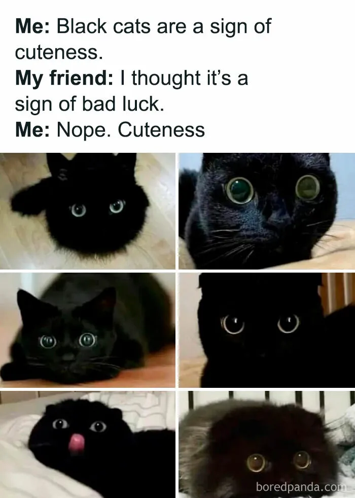 Who Could Even Resist That Kind Of Cuteness?