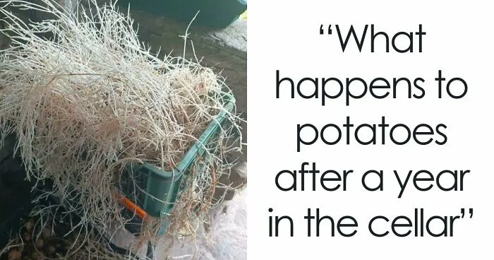 "What Happens If?": 80 Interesting And Cool Photos Of Things You Might Not Have Seen Before