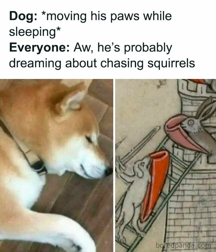 99 Memes For Anyone Who Just Wants To Forget Their Problems And Have A Laugh
