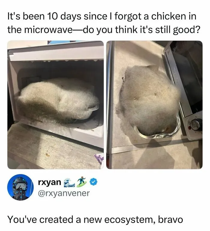 Microwave with moldy chicken creating a wild-memes-thehomie ecosystem