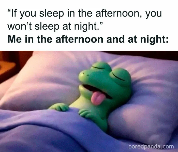 Wild Memes Thehomie frog sleeping with tongue out under blanket afternoon and night