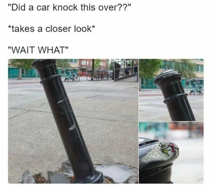 Wild memes showing close-up of a bent bollard mistaken for car damage