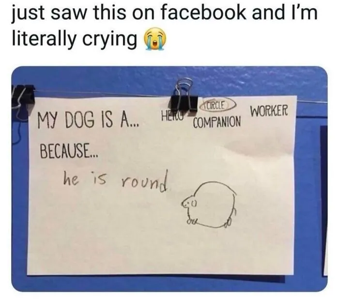 Funny note about dog being round with simple round dog drawing