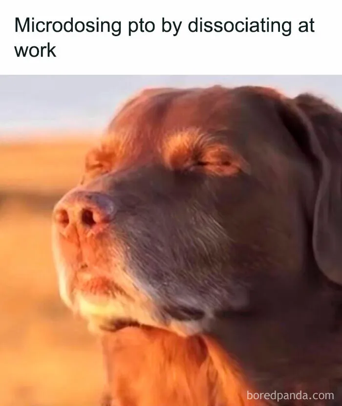 Wild Memes Thehomie dog with eyes closed caption about dissociating at work