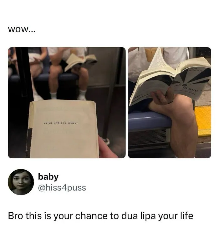 Wild memes book titled Crime and Punishment opened on subway